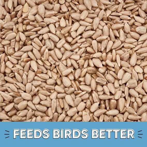 Happy Beaks - Sunflower Hearts